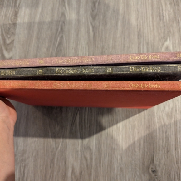 The Enchanted World Book Set - Picture 6 of 7